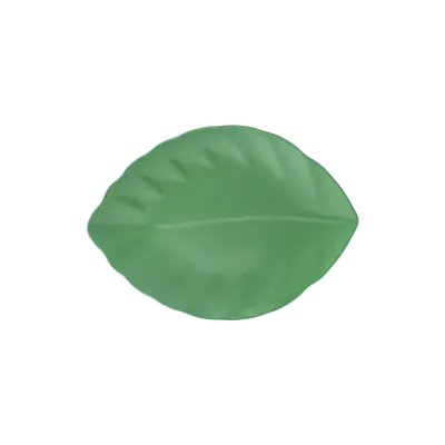 Leaf Shape Plate 11.6"