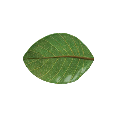 Leaf Shape Plate 11.6"